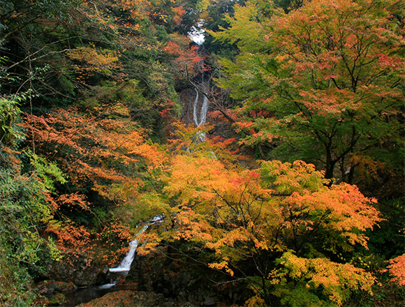 常光寺の滝